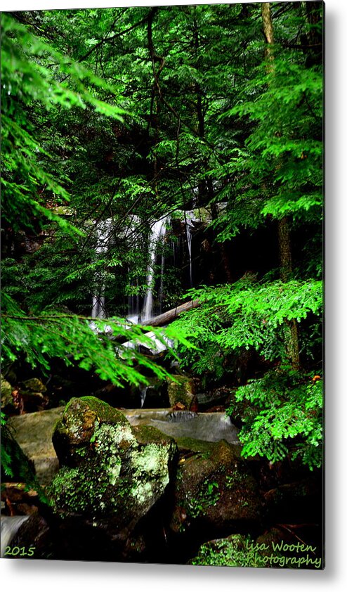 Mcconnell Mill State Park Pa Metal Print featuring the photograph Hidden Beauty by Lisa Wooten