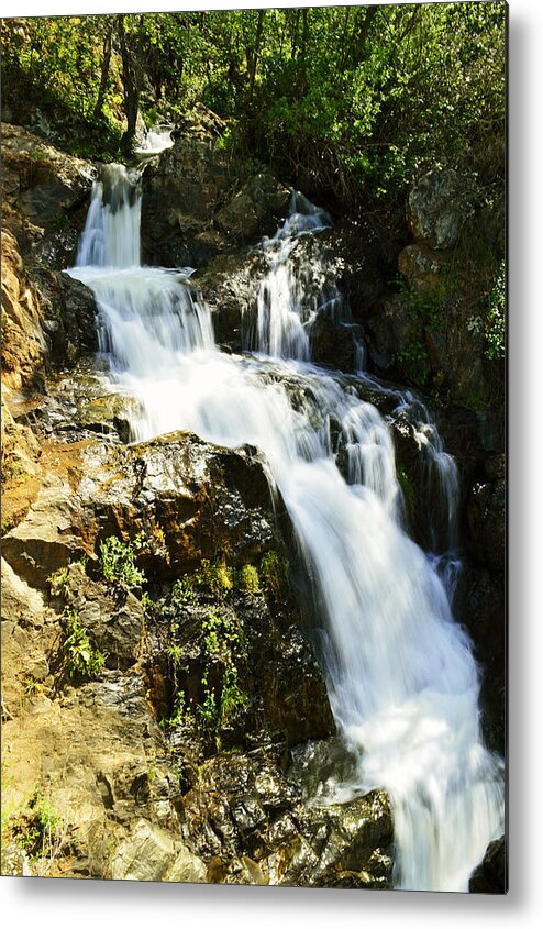 Waterfall Metal Print featuring the photograph Hidden Falls by Pamela Patch