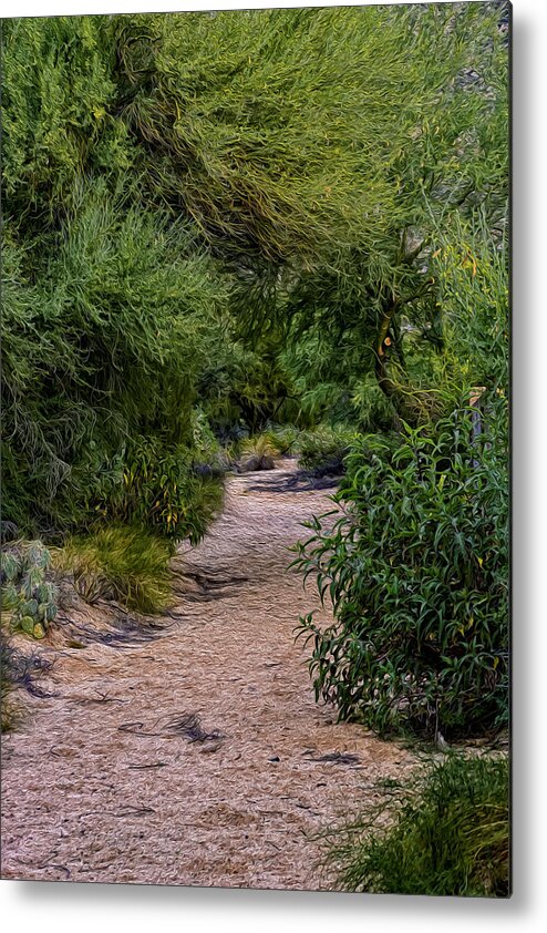 Sonoran Desert Metal Print featuring the photograph Hidden Path No24 by Mark Myhaver