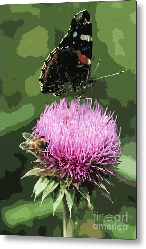 Butterfly Metal Print featuring the photograph HILL COUNTRY B and B by Joe Pratt