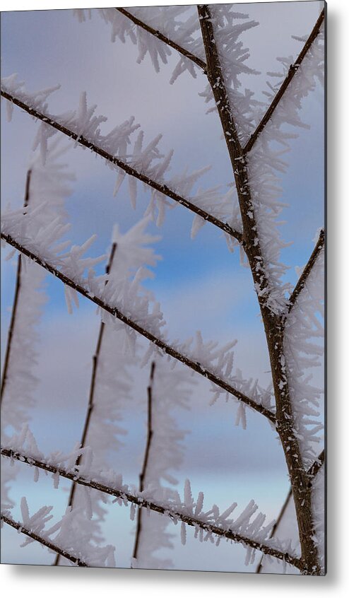 Frost Metal Print featuring the photograph Hoarfrost Hopscotch by Deborah Hughes