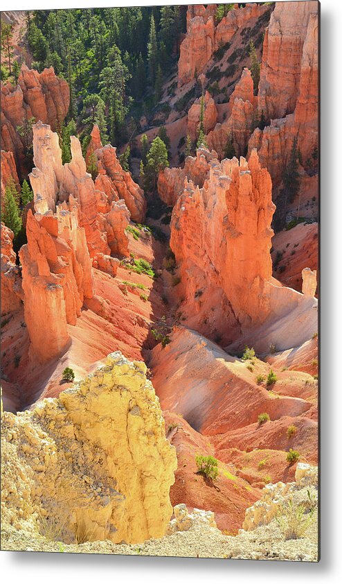 Bryce Canyon National Park Metal Print featuring the photograph Hoodoo Gulley by Ray Mathis