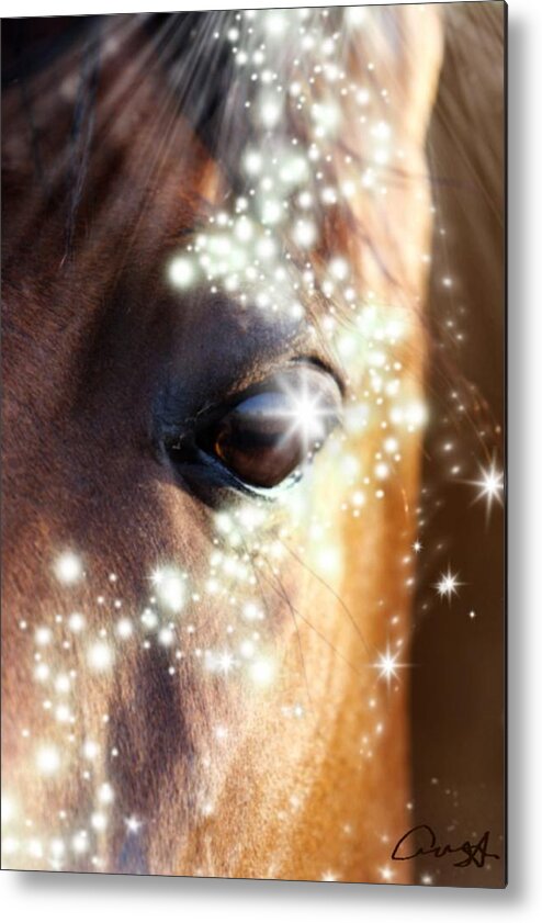 Portrait; Face; Eye; Head; Nature; Abstract; Mouth; Winter; Wet; Young; Animal; Sunlight; Vertical; Color Image; Blur; Large; Shiny; Animal Wildlife; Animals In The Wild; Season; Animal Themes Metal Print featuring the digital art Horse by Cepiatone Fine Art Callie E Austin