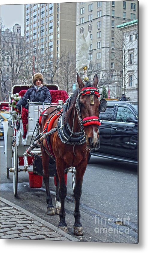 Horse Metal Print featuring the photograph Horse Power by Sandy Moulder