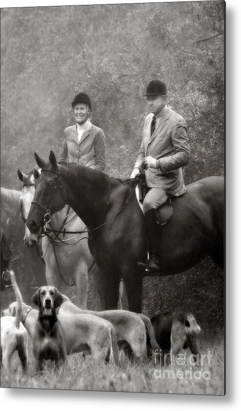  Metal Print featuring the photograph Horses and Hounds 2 in Black and White by Angela Rath