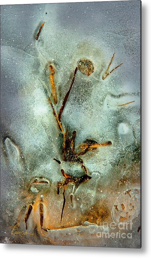 Abstract Metal Print featuring the photograph Ice Abstract by Tom Cameron