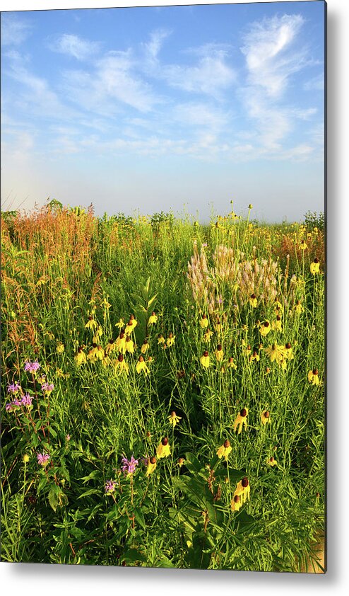 Illinois Metal Print featuring the photograph Illinois Native Prairie - McHenry County by Ray Mathis
