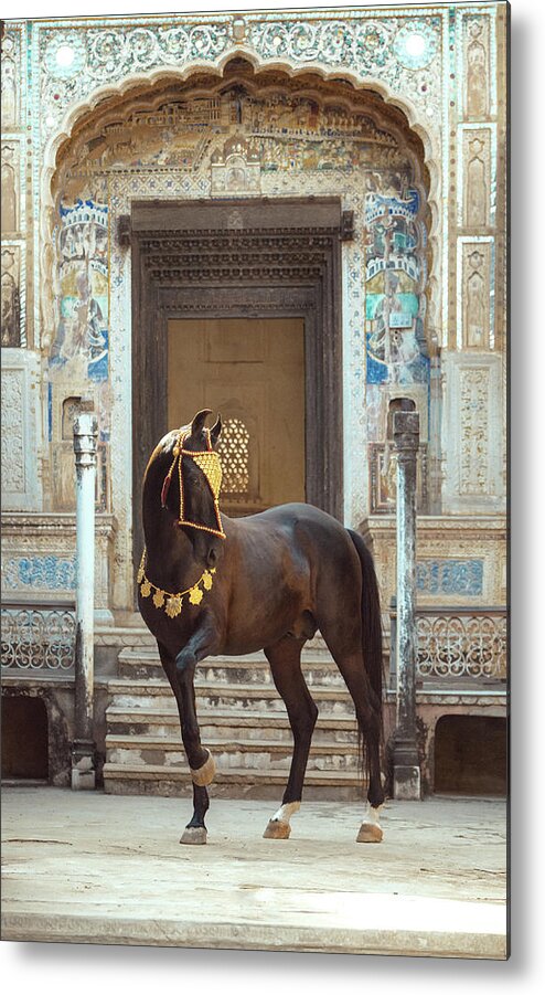 Russian Artists New Wave Metal Print featuring the photograph Indian Treasure by Ekaterina Druz