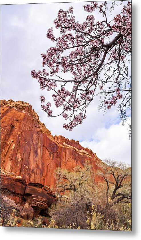 Individually Metal Print featuring the photograph Individually by Chad Dutson