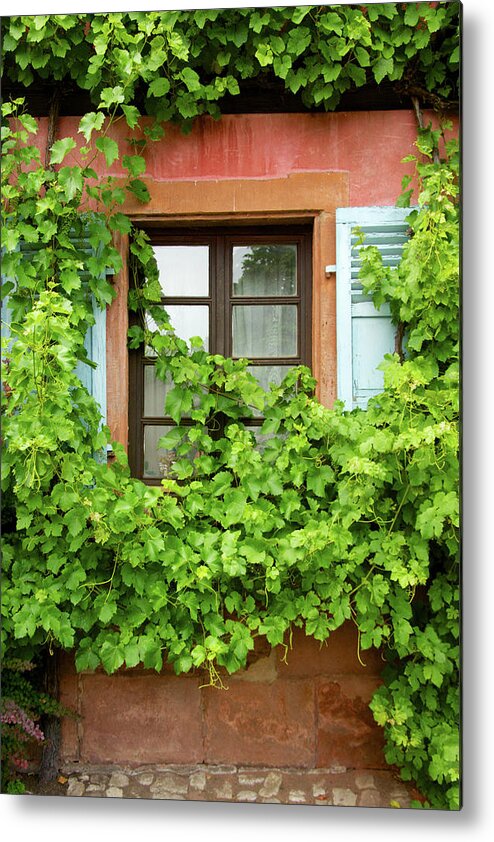 Ivy Metal Print featuring the photograph Ivy Window by Rebekah Zivicki