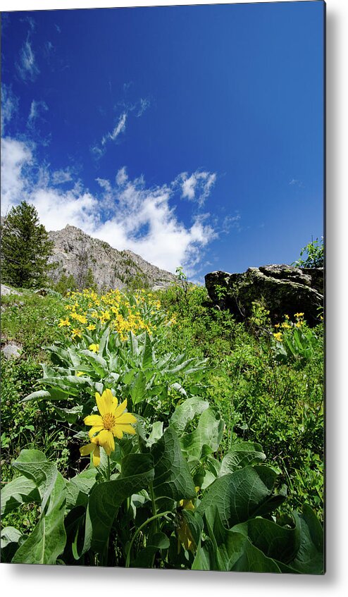 Wyoming Landscape Metal Print featuring the photograph Jenny Lake Mountainside by Crystal Wightman