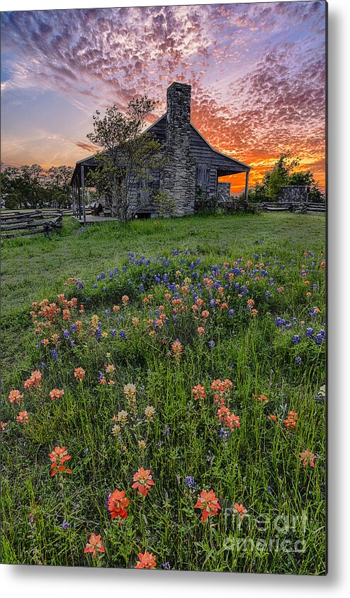 Independence Metal Print featuring the photograph John P Coles Cabin and Spring Wildflowers at Independence - Old Baylor Park Brenham Texas by Silvio Ligutti