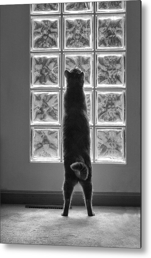 Window Metal Print featuring the photograph Joseph At The Window by Dick Pratt