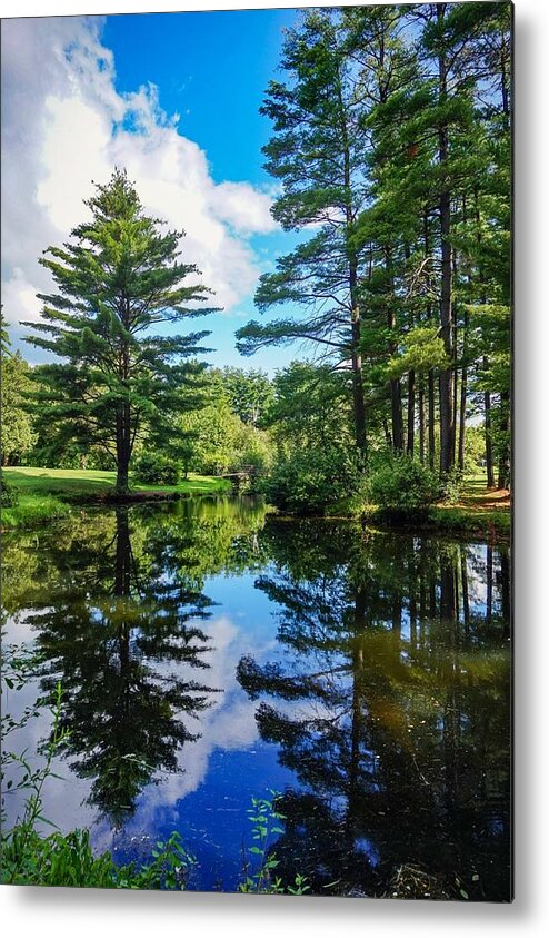  Metal Print featuring the photograph June Day at the Park by Kendall McKernon