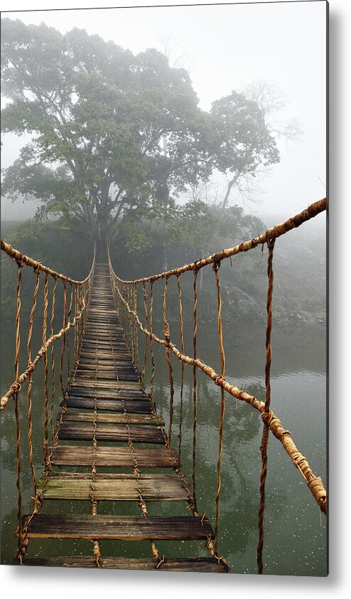 Jungle Journey Metal Print featuring the photograph Jungle Journey 2 by Skip Nall