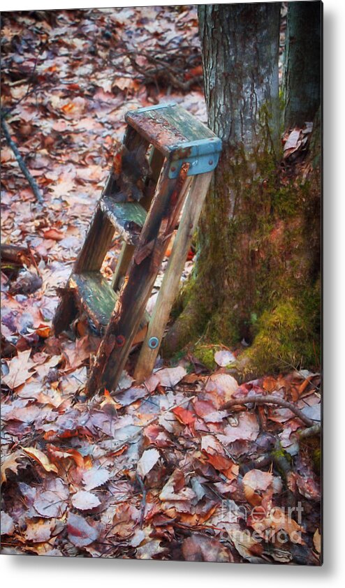 Step Ladder Metal Print featuring the photograph Just a Few Feet More by Elizabeth Dow