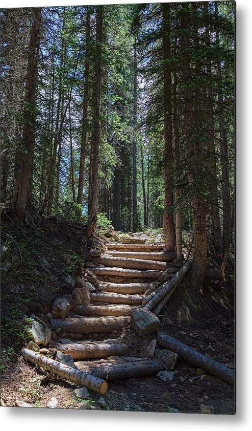 Natural Metal Print featuring the photograph Just Another Stairway To Heaven by James BO Insogna