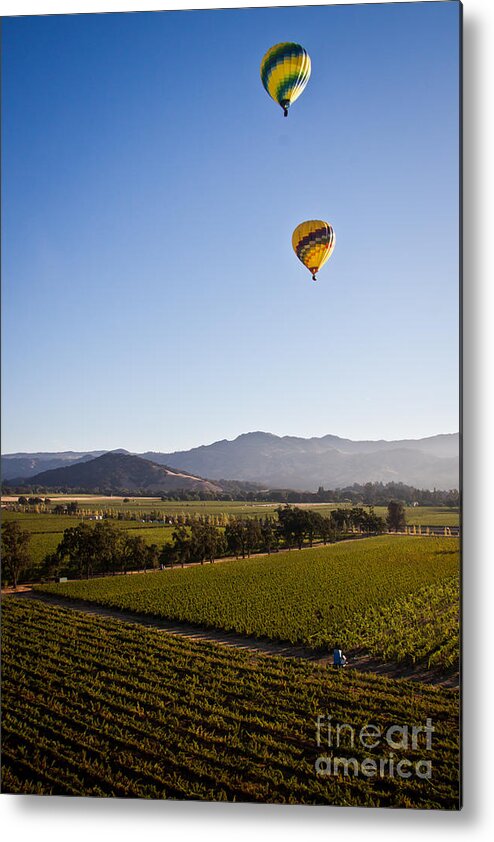 Balloons Metal Print featuring the photograph Just the Two of Us by Ana V Ramirez