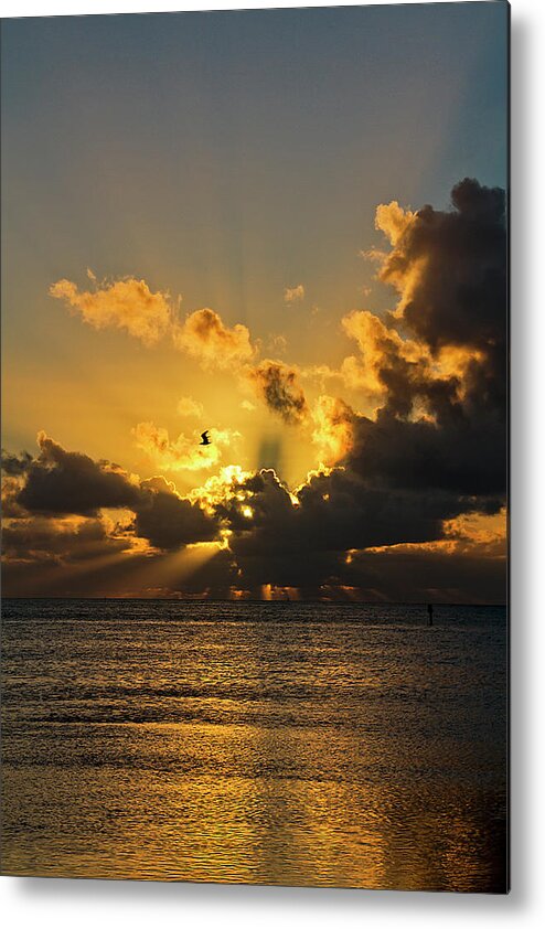 Sunrise Metal Print featuring the photograph Key West Sunrise 39 by Bob Slitzan