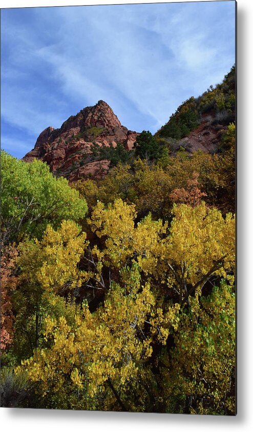 Zion Metal Print featuring the photograph Kolob Canyon No. 63 by Sandy Taylor