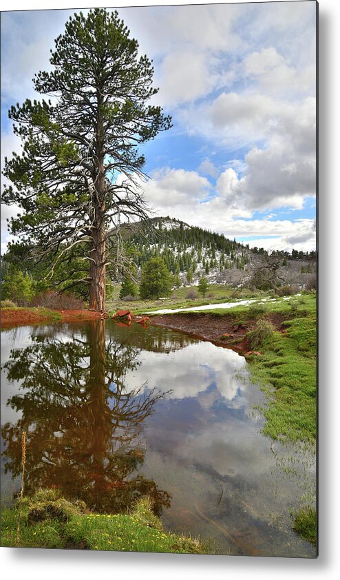Zion National Park Metal Print featuring the photograph Kolob Reflection by Ray Mathis