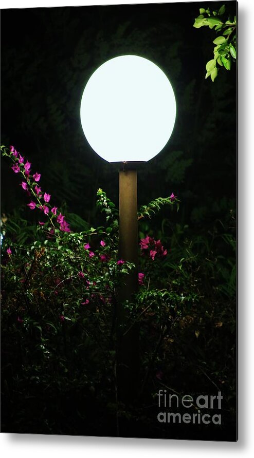 Night Metal Print featuring the photograph Lamp Post by Craig Wood