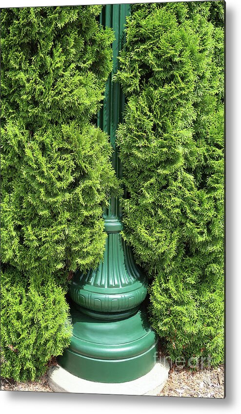 Lamppost Metal Print featuring the photograph Lamppost Greens by Ann Horn