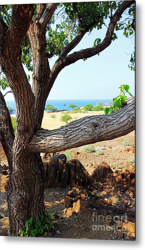 Lapakahi View Metal Print featuring the photograph Lapakahi View by Jennifer Robin