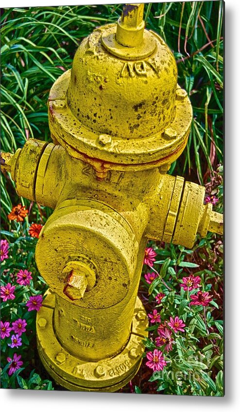 Yellow Metal Print featuring the photograph Lemon-Aid by Ken Williams