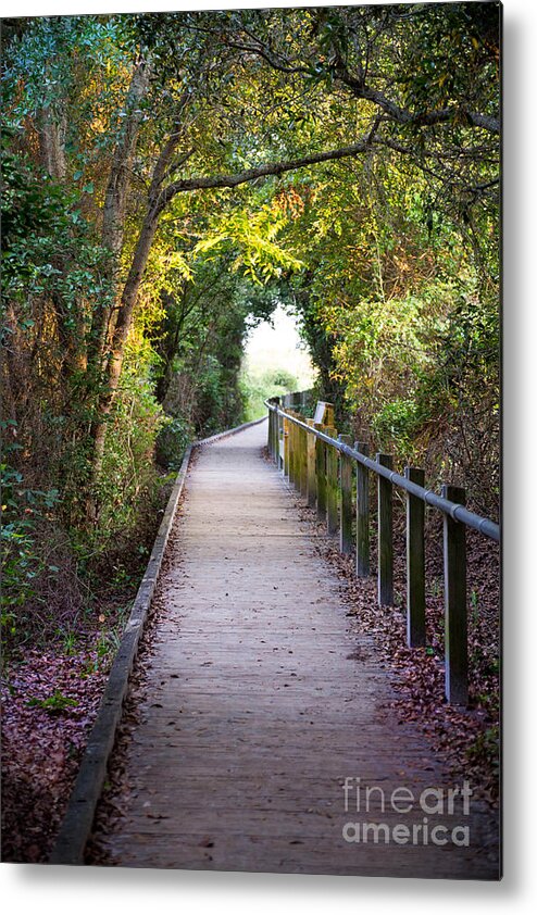 Path Metal Print featuring the photograph Life Beyond The Path by Sharon McConnell