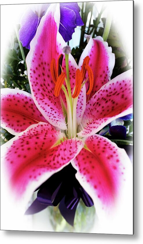 Lily Metal Print featuring the photograph Lily by Hugh Smith