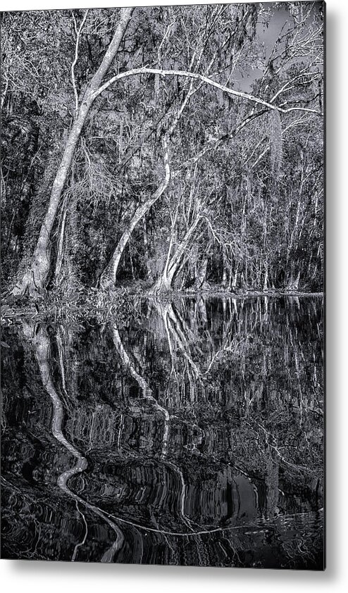 Sherry Day Metal Print featuring the photograph Liquid Silver by Ghostwinds Photography