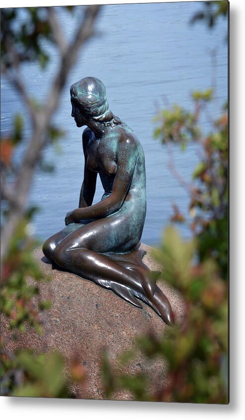 Mermaid Metal Print featuring the photograph Little Mermaid. by Terence Davis