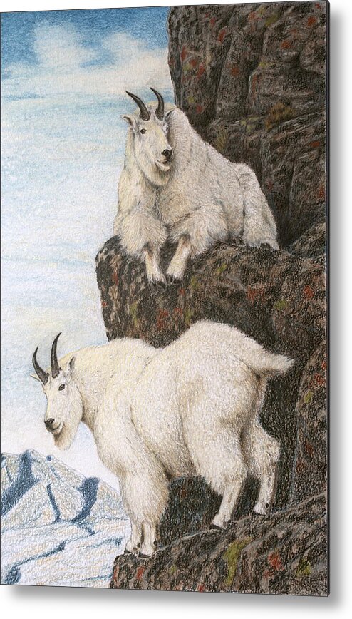 Mountain Goat Metal Print featuring the painting Lofty Perch by Darcy Tate