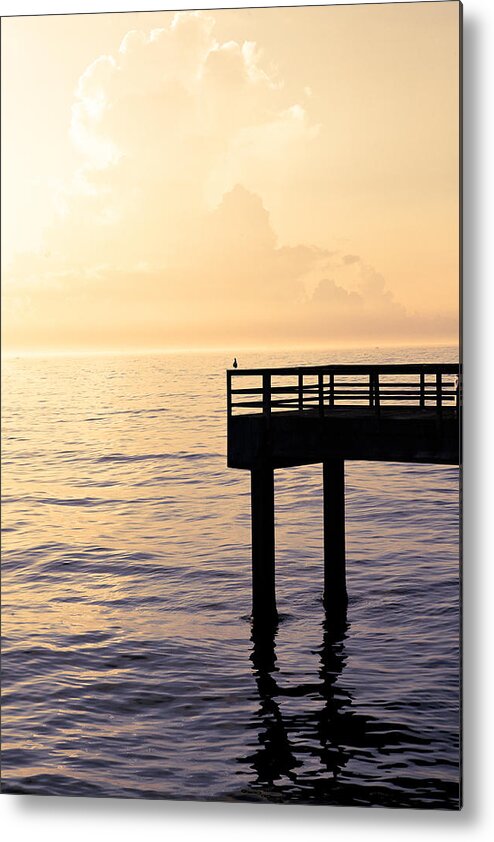 Beach Metal Print featuring the photograph Lone Bird at Morning by Marilyn Hunt