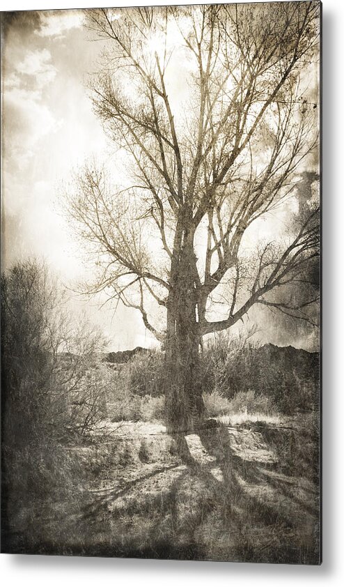 Benton Metal Print featuring the photograph Lone Tree by Michele Cornelius