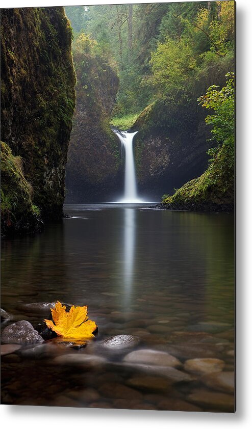 Waterfall Metal Print featuring the photograph Lonely by Miles Morgan