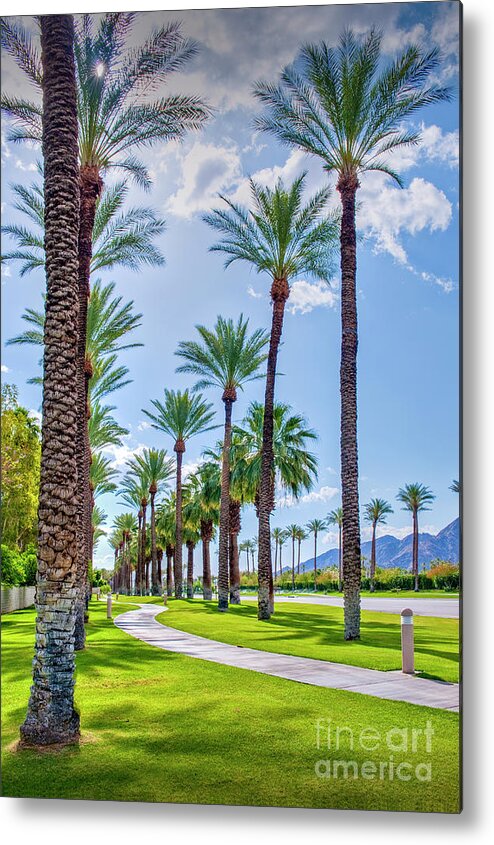 Palm Desert Metal Print featuring the photograph Looking Up Palm Trees Vertical by David Zanzinger