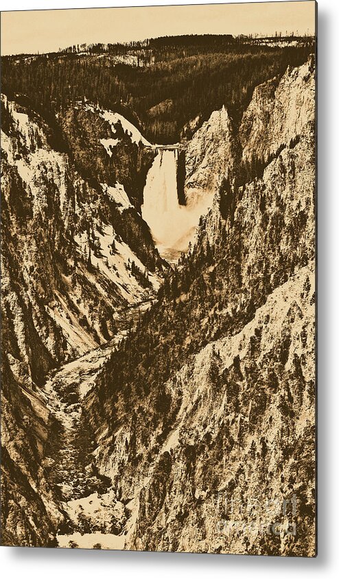 Yellowstone Metal Print featuring the photograph Lower Falls Viewed from Artist Point Yellowstone National Park Wyoming Rustic Digital Art by Shawn O'Brien