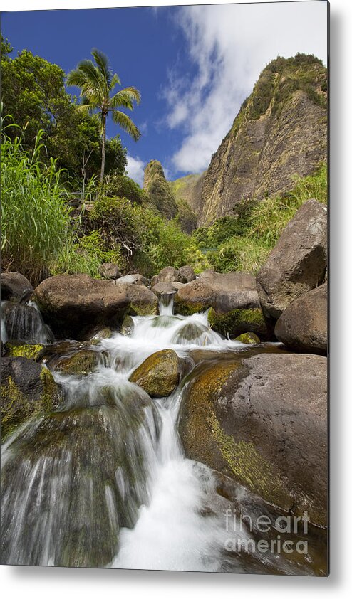 Amazing Metal Print featuring the photograph Lush Tropical Iao River Valley by Jenna Szerlag