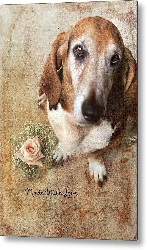 Dog Metal Print featuring the photograph Made With Love II by Joan Bertucci