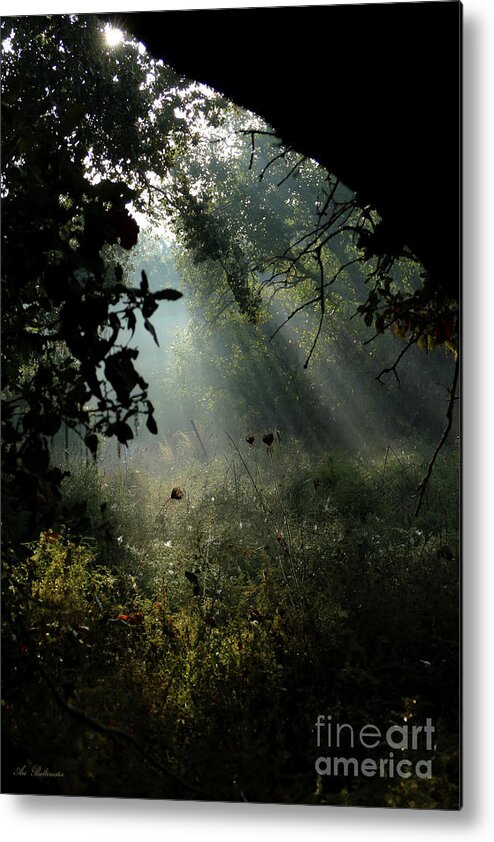 Natural Metal Print featuring the photograph Magical Woodland lighting 02 by Arik Baltinester