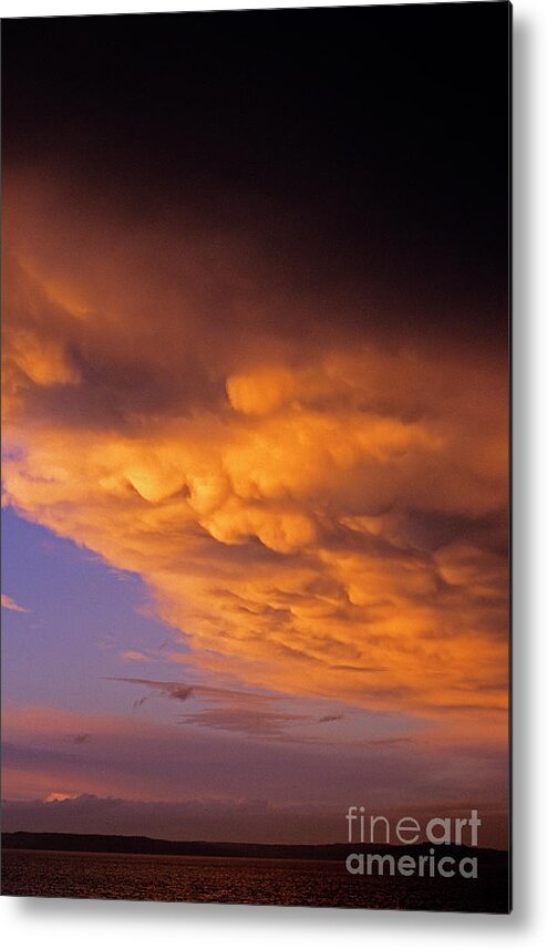 Sky Metal Print featuring the photograph Mammato-Cumulus Clouds at Sunset over Puget Sound by Jim Corwin