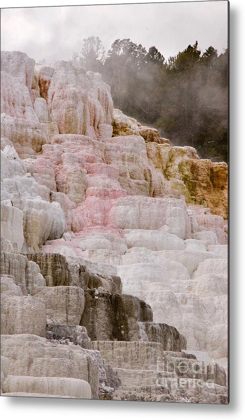 Photography Metal Print featuring the photograph Mammoth Hot Springs by Sean Griffin