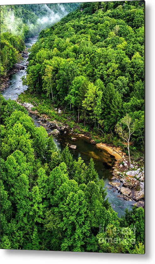 Meadow River Metal Print featuring the photograph Meadow River Aerial by Thomas R Fletcher