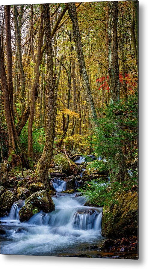 Landscape Metal Print featuring the photograph Mill Creek in Fall #1 by Joe Shrader