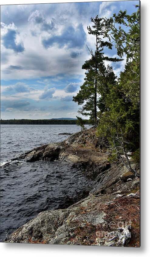 Nature Metal Print featuring the photograph Millonocket Lake Shore by Skip Willits