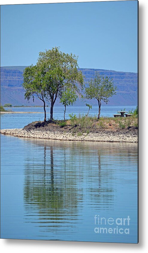 Trees Metal Print featuring the photograph Mirage by Carol Eliassen