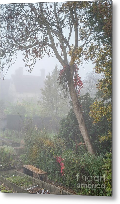 Plants Metal Print featuring the photograph Misty Garden, Great Dixter 2 by Perry Rodriguez