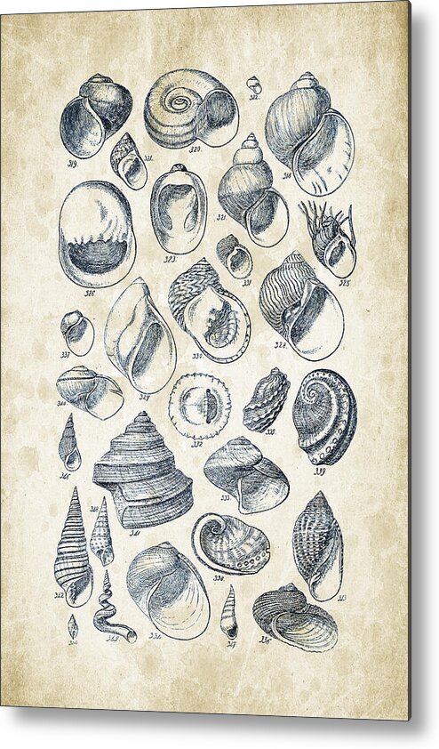 Molluscs Metal Print featuring the digital art Mollusks - 1842 - 15 by Aged Pixel